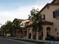 Amante Homes for Sale | Team Q RE/MAX