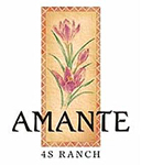 Amante at 4S Ranch | Team Q RE/MAX