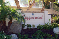 Copperwood at 4S Ranch | Team Q RE/MAX