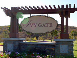 Ivy Gate at 4S Ranch | Team Q RE/MAX